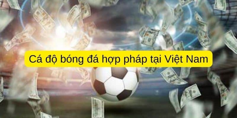 Cá độ bóng đá hợp pháp tại Việt Nam