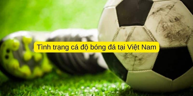 Tình trạng cá độ bóng đá tại Việt Nam