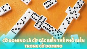 Cờ Domino là gì? Các biến thể phổ biến trong cờ Domino